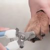 Cortauñas-de-acero-profesional-azul-perro-corte-pata