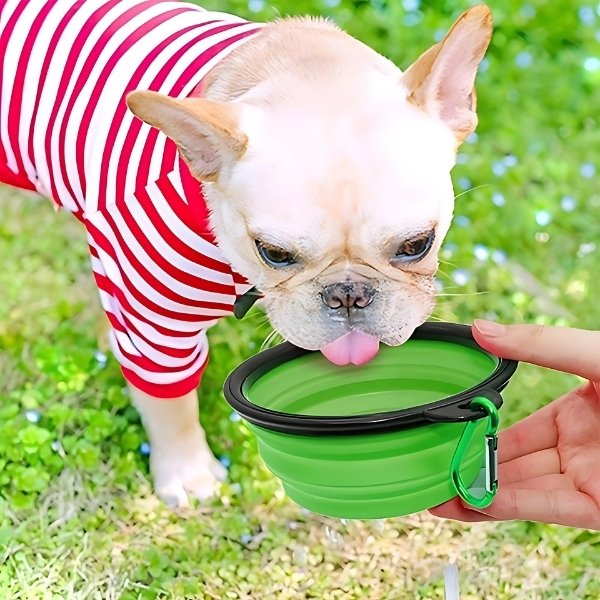 Cuenco-plegable-de-silicona-para-perros-verde-mosquetón-presentación