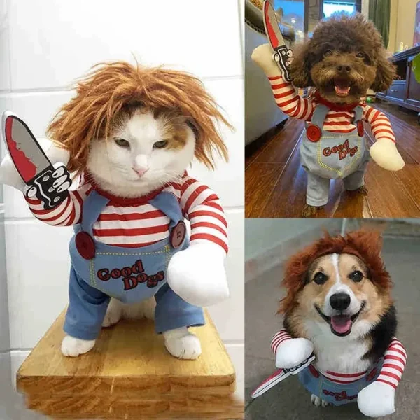 Difraces divertidos para perro y gato