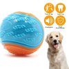 Juguete de pelota interactivo higiene