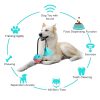 Juguete interactivo para perros beneficios