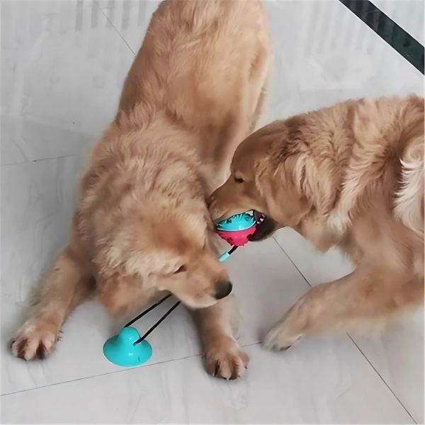 Juguete interactivo para perros dos perros