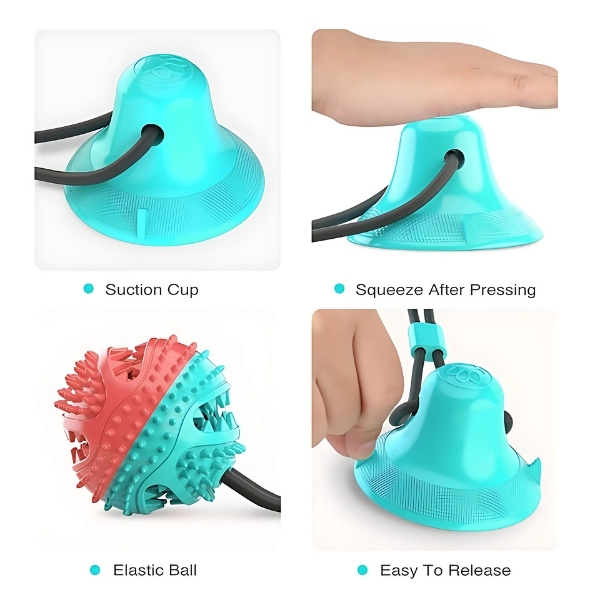 Juguete interactivo para perros ventosa equipos
