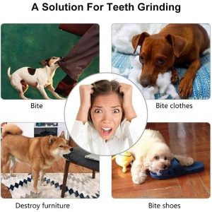 PELOTA DENTAL INTERACTIVA PARA PERRO