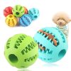 Pelota Dental Interactiva multi talla