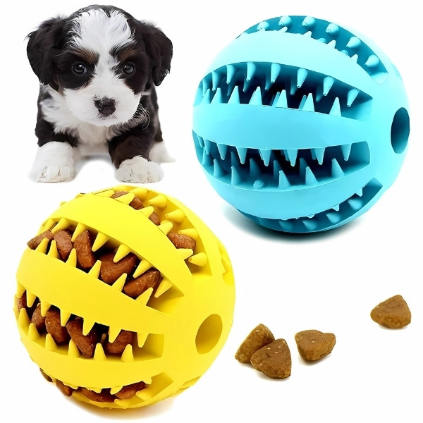 Pelota Dental Interactiva presentación