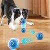 Pelota rodante automatica perro presentación