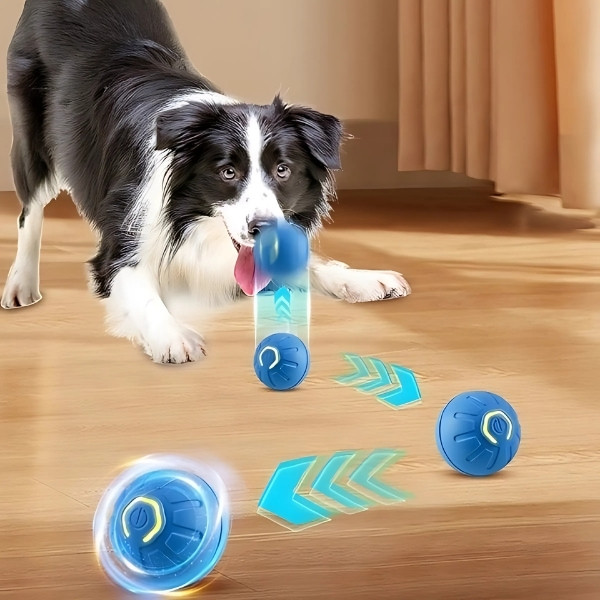 Pelota rodante automatica perro presentación