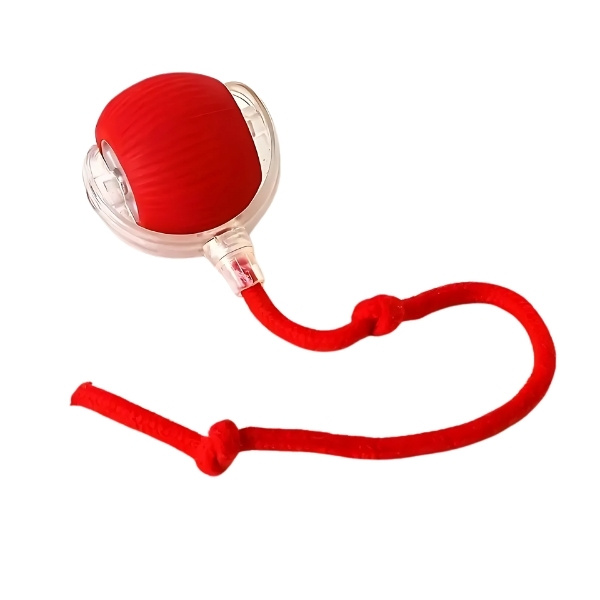 Pelota Rodante Automática Para Perro - Image 8