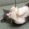 Varita-de-madera-colorida-con-plumas-para-gato-y-gatito