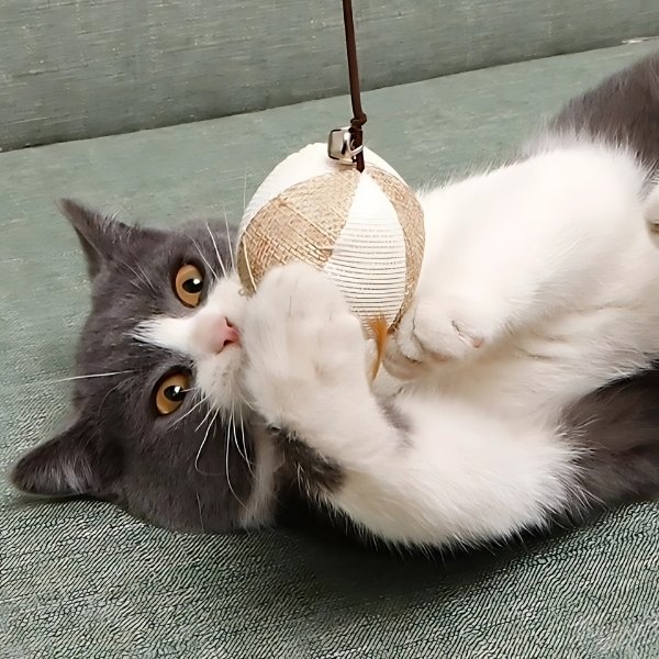 Varita-de-madera-colorida-con-plumas-para-gato-y-gatito