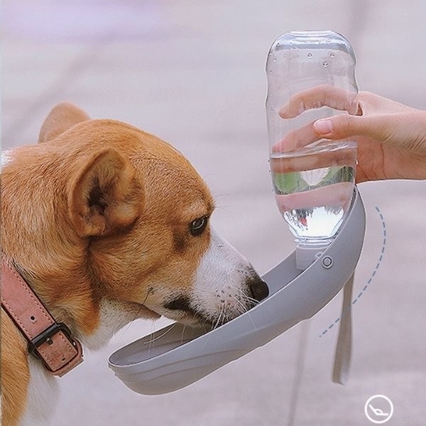 botella-de-agua-para-perros-presentación