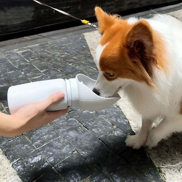 botella-de-agua-plegable-para-perro-agua