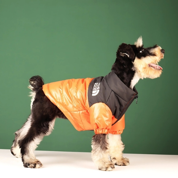 chaqueta de invierno para perro naranja presentación