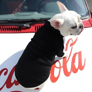 chaqueta-para-perro-poma-negro-coca