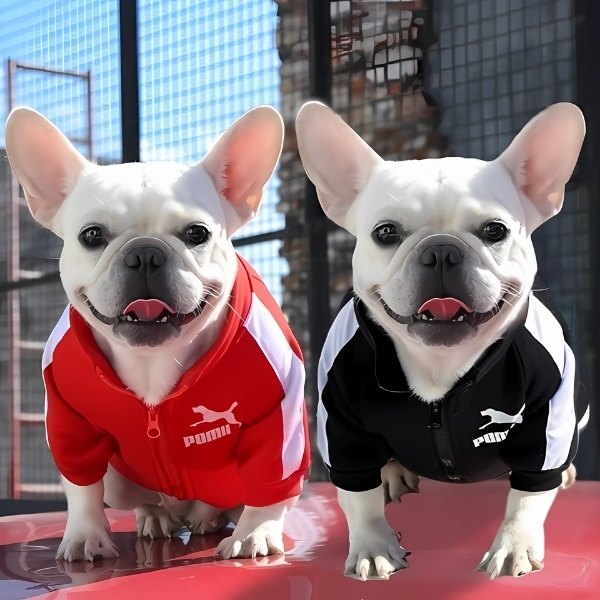 chaqueta-para-perro-poma-rojo-y-negro