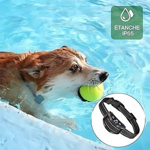 dispositivo antiladridos para perro impermeable agua