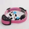 dispositivo antiladridos para perro rosa equipos