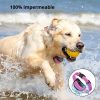 dispositivo antiladridos para perro rosa impermeable