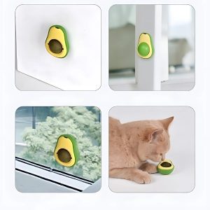 hierba-gatera-de-aguacate-para-gato-fijación