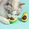 hierba-gatera-de-aguacate-para-gato-frescura-natural