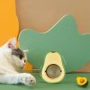 hierba-gatera-de-aguacate-para-gato-juego