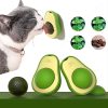 hierba-gatera-de-aguacate-para-gato-planta-natural