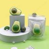 hierba-gatera-de-aguacate-presentación-para-gato