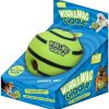 pelota antiestrés para perros