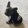 sudadera para perro