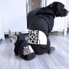 sudadera para perro presentación