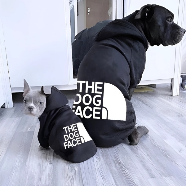 sudadera para perro presentación