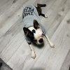 sudadera para perro textile