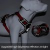 Arnés-Ajustable-de-Seguridad-para-Perros-reflectante