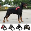 Arnés anti-tirones ajustable para perro MULTICOLOR