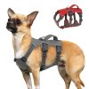 Arnés-antiescape-para-perro-chiwawa