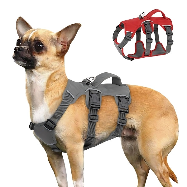 Arnés-antiescape-para-perro-chiwawa