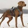 Arnés-antiescape-para-perro-gris-grande
