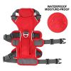 Arnés-antiescape-para-perro-impermeable