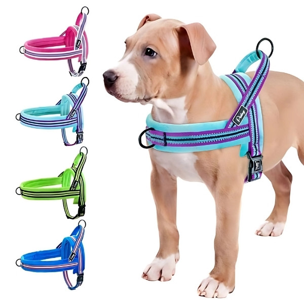 Arnés de entrenamiento para perros presentación
