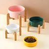 Bandeja-de-cerámica-para-perros-amarillo-rosa-verde-blanco