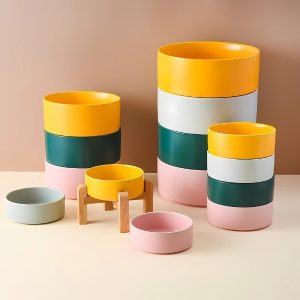 Bandeja-de-cerámica-para-perros-multi-color