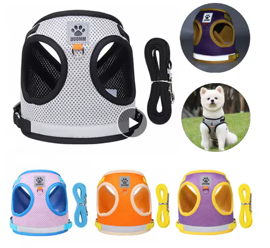 Arnés ultra cómodo para perro multicolor