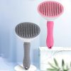 Cepillo-Automático-para-Perros-rosa-gris