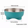 Comedero-para-perro-de-acero-inoxidable-verde-talla