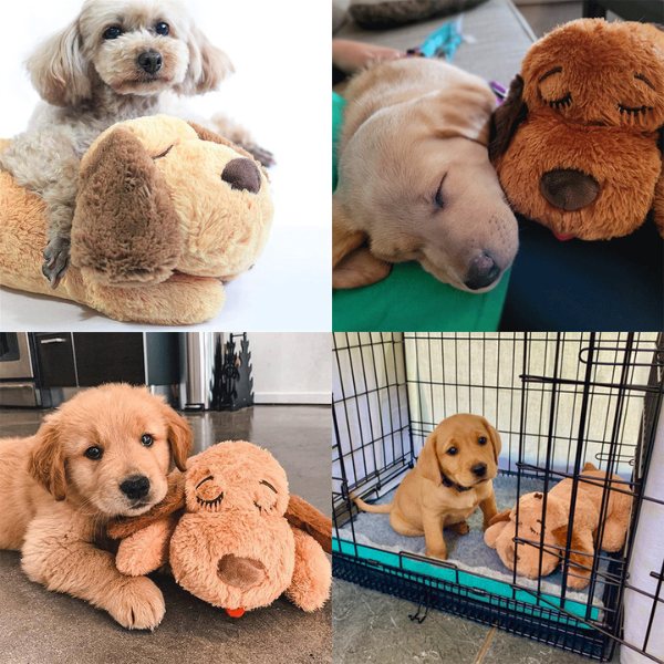 Peluche de Perro antiestrés