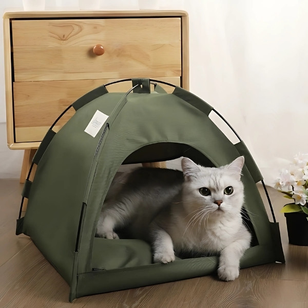 Tienda-para-Gatos-verde-presentación