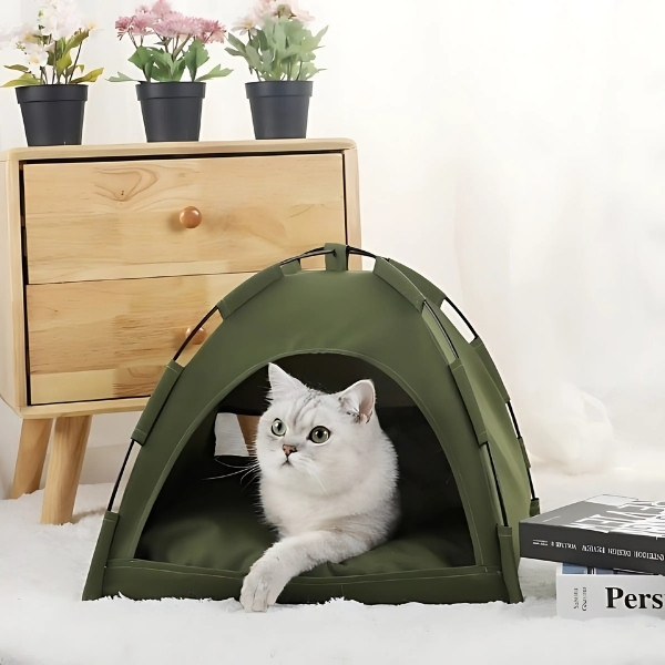 perrera-para-Gato-verde
