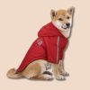 abrigo the dog face perro rojo