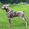 arnés-Aéro-Comfort-para-perro-presentación